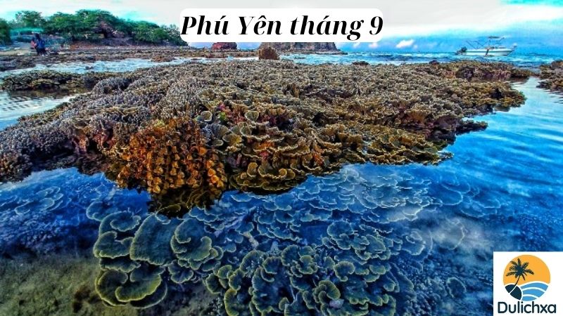 Phú Yên tháng 9