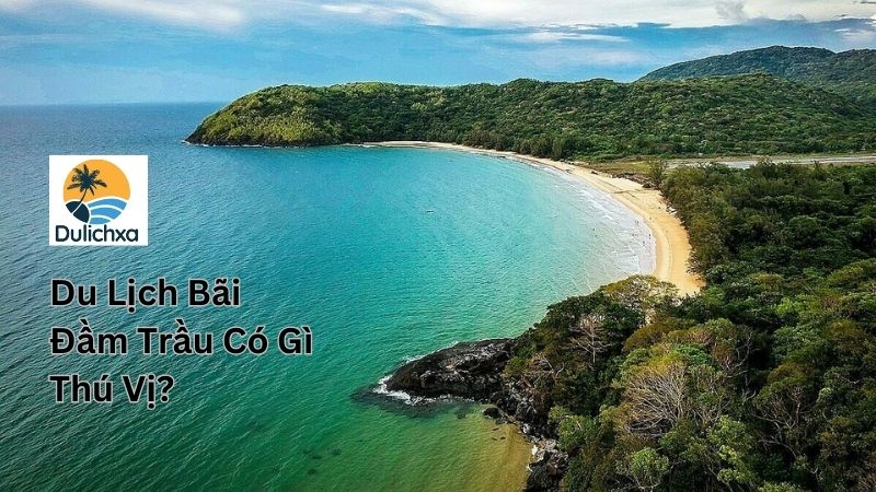 Du Lịch Bãi Đầm Trầu Có Gì Thú Vị?