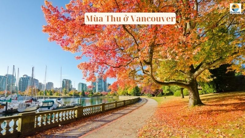 mùa thu ở vancouver