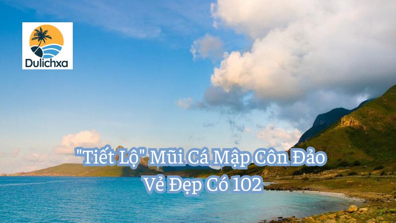 Mũi Cá Mập Côn Đảo